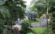 Oasis At Palm Cove - thumb 7