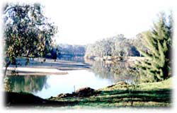 Corowa Golf Club Motel - Accommodation BNB 0