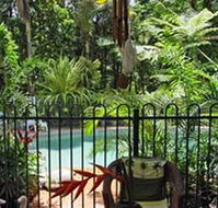 Daintree Rainforest Retreat Motel - Accommodation BNB