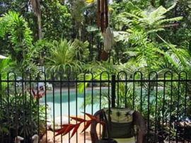 Daintree Rainforest Retreat Motel - Accommodation BNB 0
