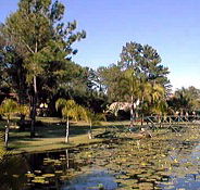 Twin Lakes Hotel - Accommodation BNB