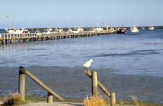 Cape Douglas SA Accommodation BNB