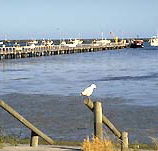 Seaview Motel and Holiday Units - Accommodation BNB