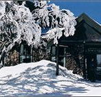 Arlberg Hotel Mt Buller - Accommodation BNB