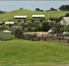 Ace Hi Riding Ranch - Accommodation BNB