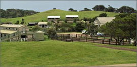 Ace Hi Riding Ranch - Accommodation BNB 0