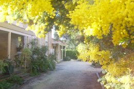 Surfcoast Retreat - Accommodation BNB 0
