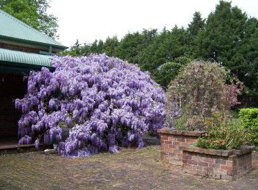 Heronswood House - Accommodation BNB 2