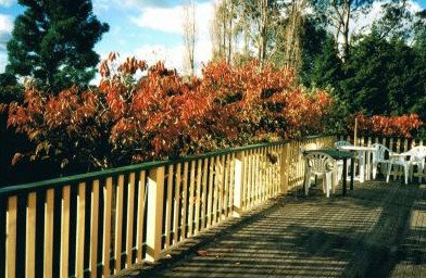 Heronswood House - Accommodation BNB 5