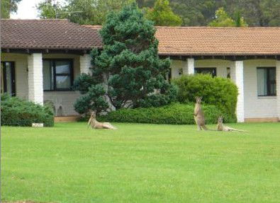 The Oaks Ranch & Country Club - Accommodation BNB 1