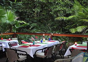 Daintree Rainforest Retreat Motel - Accommodation BNB 1