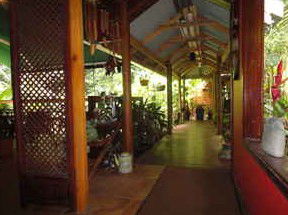 Daintree Rainforest Retreat Motel - Accommodation BNB 2
