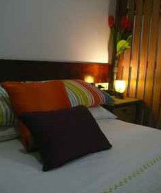 Daintree Rainforest Retreat Motel - Accommodation BNB 3