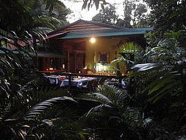 Daintree Rainforest Retreat Motel - Accommodation BNB 4