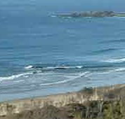 Beach Haven Apartments - Accommodation BNB
