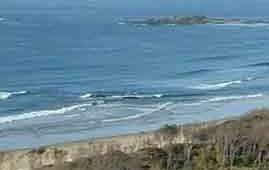 Beach Haven Apartments - Accommodation BNB 0