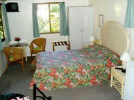 Kuranda Rainforest Accommodation Park - Accommodation BNB 2