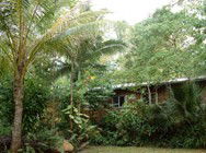 Kuranda Rainforest Accommodation Park - Accommodation BNB 3