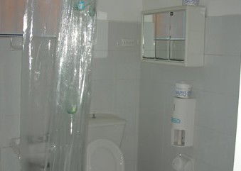 Manly Bunkhouse - Accommodation BNB 1