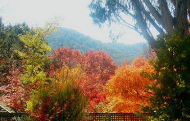 ELLENVALE HOLIDAY UNITS - Accommodation BNB 1