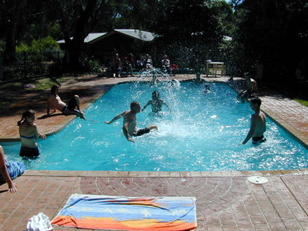 Koala Park Resort - Accommodation BNB 1