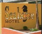 Seahorse Motel - Accommodation BNB 1