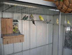 Yarragon Motel - Accommodation BNB 1