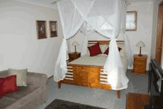 Tall Trees B And B - Accommodation BNB 1