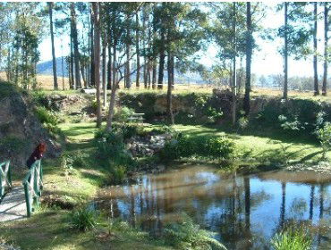 Tallowood Ridge Farmstay B - Accommodation BNB 1
