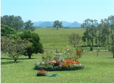 Tallowood Ridge Farmstay B - Accommodation BNB 3