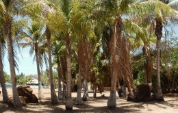 King Sound Resort Hotel - Accommodation BNB