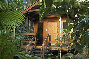 Cape Tribulation QLD Accommodation BNB