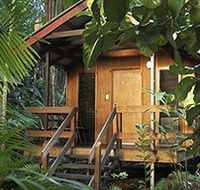 Cape Trib Beach House - Accommodation BNB