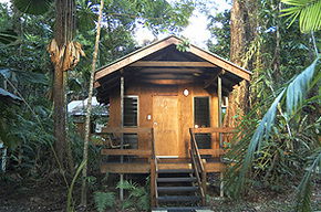 Cape Trib Beach House - Accommodation BNB 3