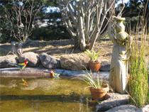 Murray Gardens Motel And Cottages - Accommodation BNB 2
