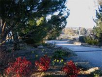 Murray Gardens Motel And Cottages - Accommodation BNB 3