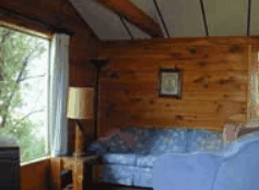 The Pines Resort - Accommodation BNB