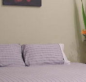 Stingo Hotel - Accommodation BNB