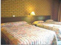 Bega Village Motor Inn - Accommodation BNB 3