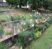 Kintail Homestay - Accommodation BNB