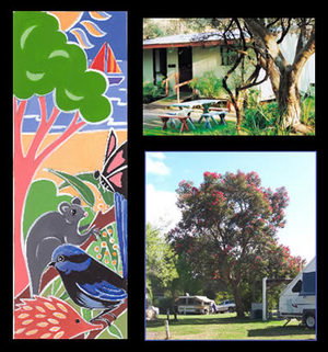 Bushland Cabins - Accommodation BNB 0