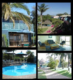 Pandanus Palms Resort - Accommodation BNB 1