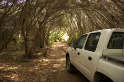 Nampara Cabins - Accommodation BNB 1