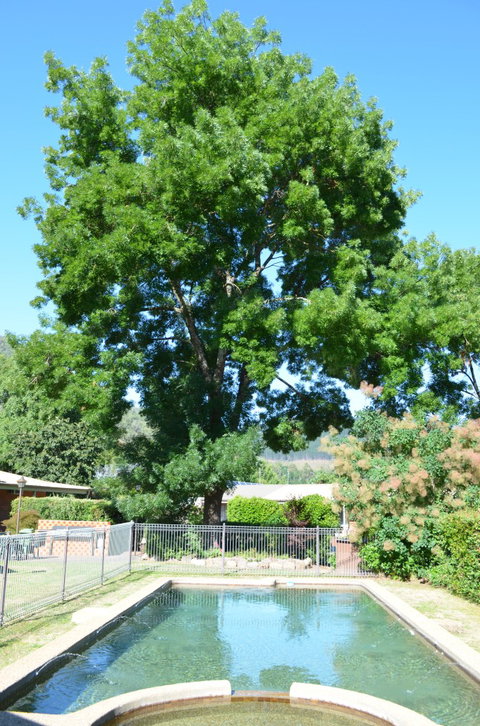 Bright Colonial Inn Motel - Accommodation BNB 4