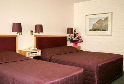 Comfort Inn Albany - Accommodation BNB 4