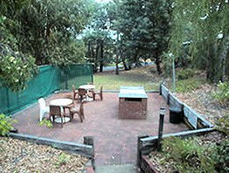 Collie Forest Motel - Accommodation BNB 4