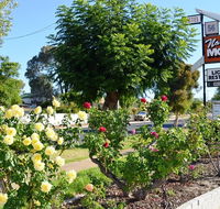 Narrogin Motel - Accommodation BNB