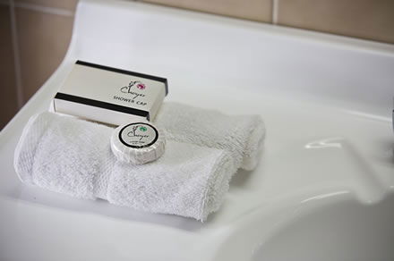 Cumberland Motor Inn - Accommodation BNB 7
