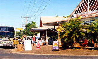 Mission Beach Rainforest Motel - Accommodation BNB 0