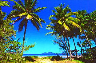 Mission Beach Rainforest Motel - Accommodation BNB 1